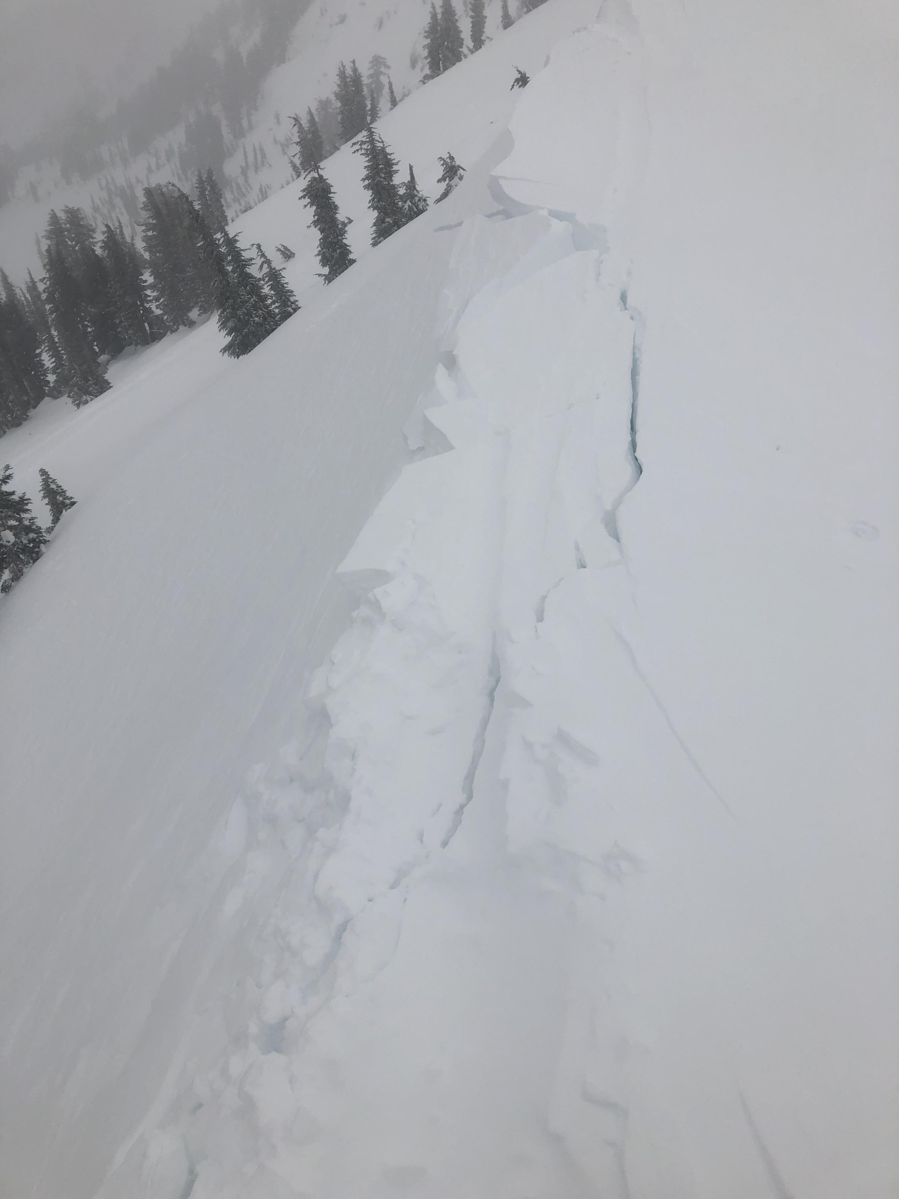 Large cornice triggered shooting cracks