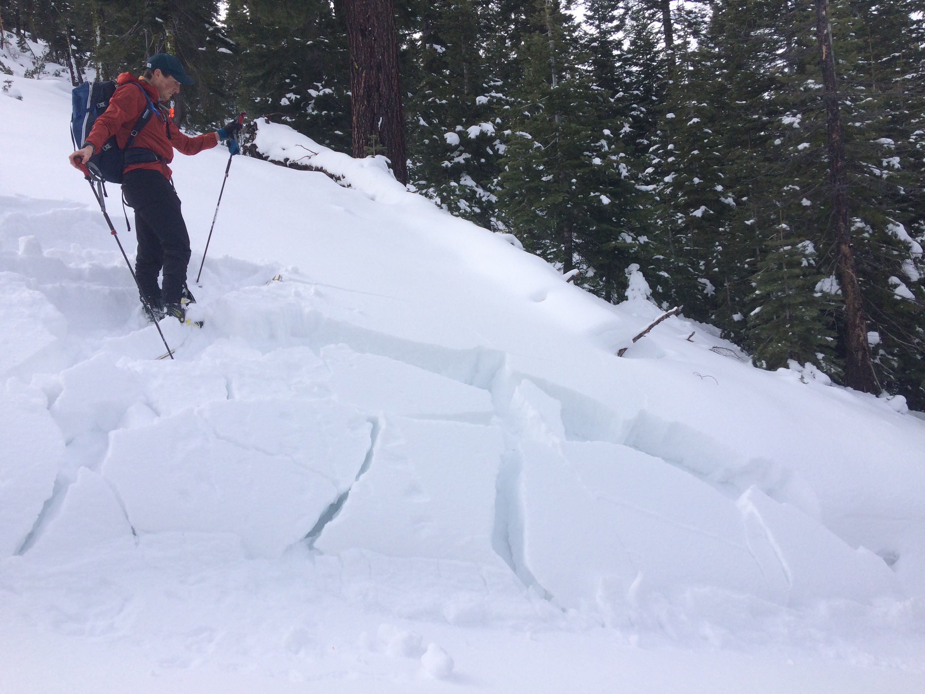 Test Slope Failure on a N facing below treeline slope on Brockway Summit 1/1/2021