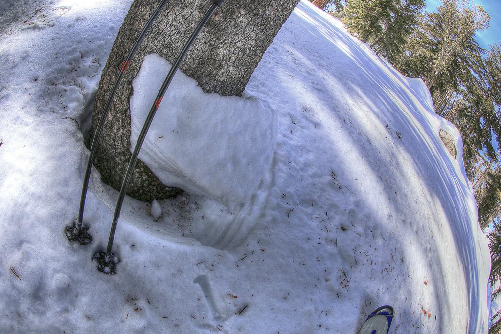  Evidence of snow <a href="/avalanche-terms/settlement" title="The slow, deformation and densification of snow under the influence of gravity. Not to be confused with collasping" class="lexicon-term">settlement</a> 