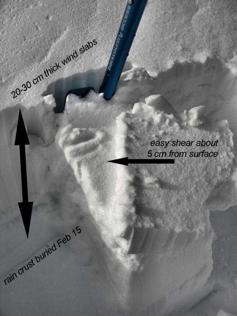  shear plane within the <a href="/avalanche-terms/wind-slab" title="A cohesive layer of snow formed when wind deposits snow onto leeward terrain. Wind slabs are often smooth and rounded and sometimes sound hollow." class="lexicon-term">wind slab</a> 