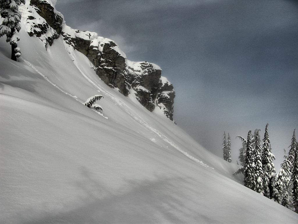  Wet loose snow avx on Donner Pk, 20140304 