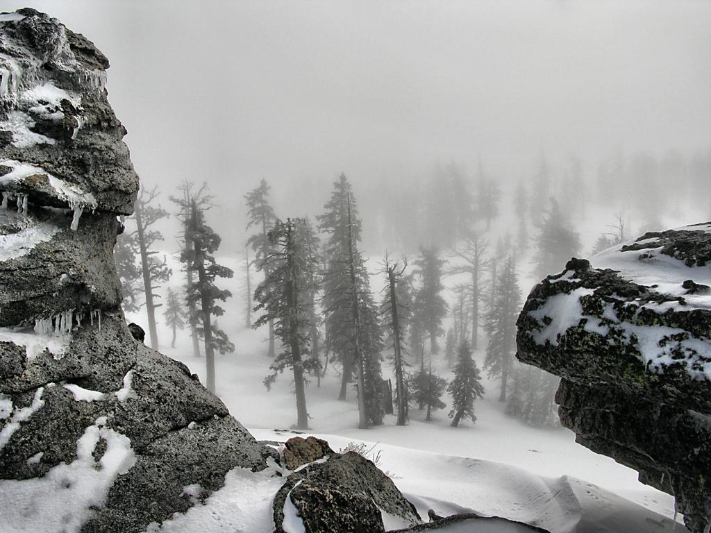  Fog near summit of Donner Pk, 20140304, 0830 