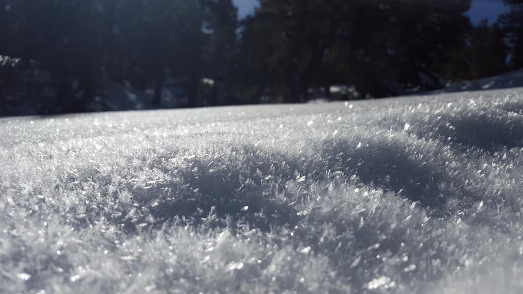  Well developed <a href="/avalanche-terms/surface-hoar" title="Featherly crystals that form on the snow surface during clear and calm conditions - essentially frozen dew. Forms a persistent weak layer once buried." class="lexicon-term">surface hoar</a> 