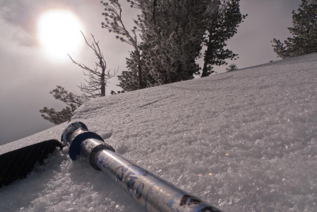  <a href="/avalanche-terms/surface-hoar" title="Featherly crystals that form on the snow surface during clear and calm conditions - essentially frozen dew. Forms a persistent weak layer once buried." class="lexicon-term">Surface Hoar</a> 