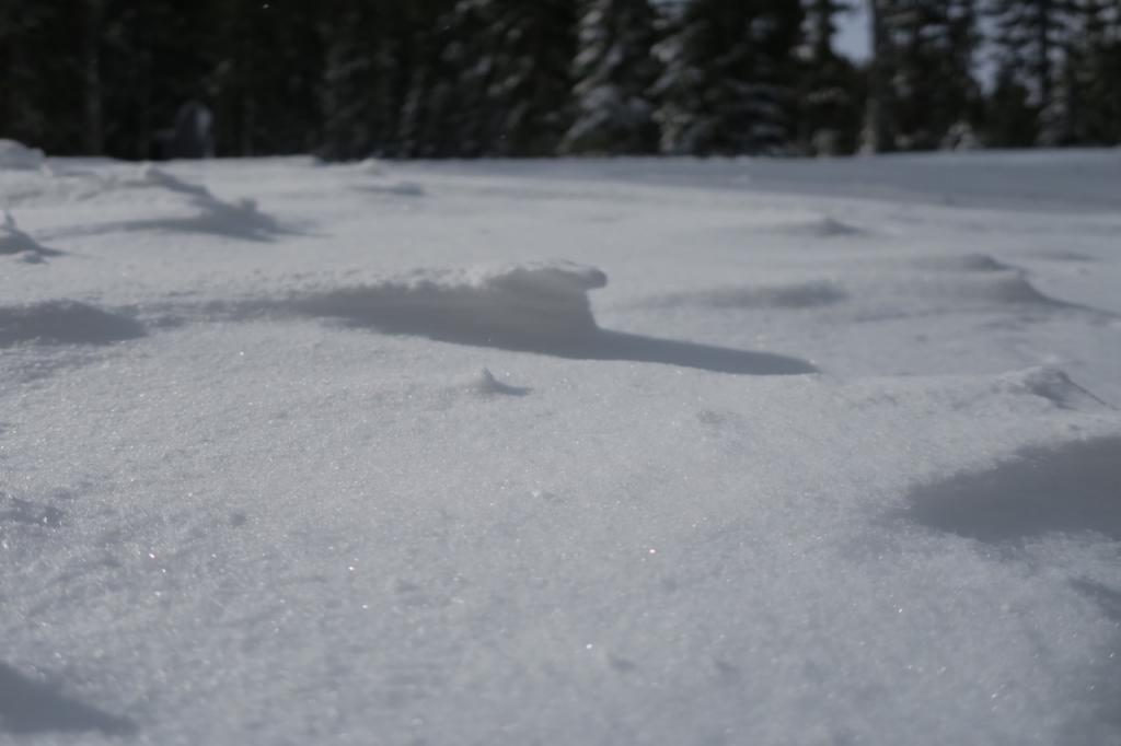  Wind affected snow near the base of Powderhouse. 
