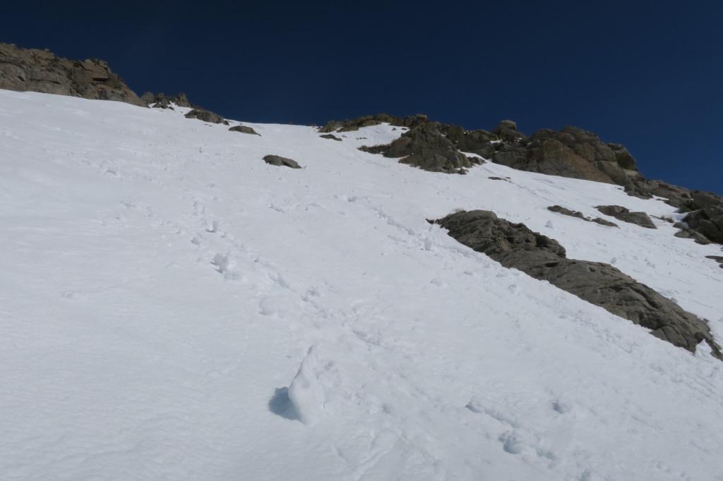  Fresh roller ball activity on south facing slope. 