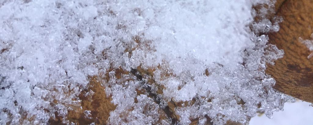 Approximately 3mm striated <a href="/avalanche-terms/faceted-snow" title="Angular snow with poor bonding created from large temperature gradients within the snowpack." class="lexicon-term">facets</a> at base of snowpack in this location. 