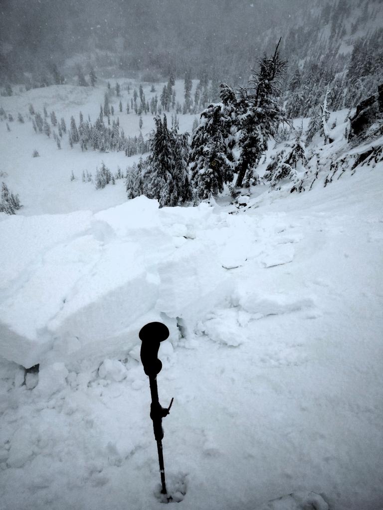  Looking down the slope to the debris pile. 