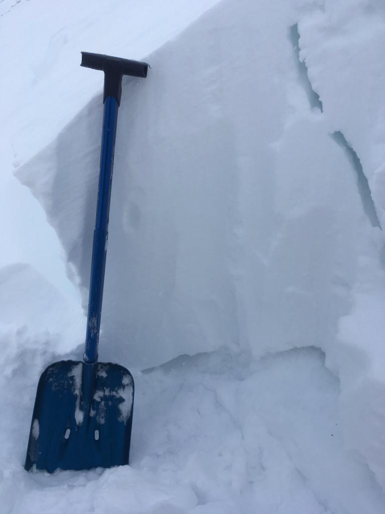  Excavating the lowest <a href="/avalanche-terms/crown-face" title="The top fracture surface of a slab avalanche. Usually smooth, clean cut, and angled 90 degrees to the bed surface." class="lexicon-term">crown</a>. The base of this was ice and ground with <a href="/avalanche-terms/faceted-snow" title="Angular snow with poor bonding created from large temperature gradients within the snowpack." class="lexicon-term">facets</a> present. 