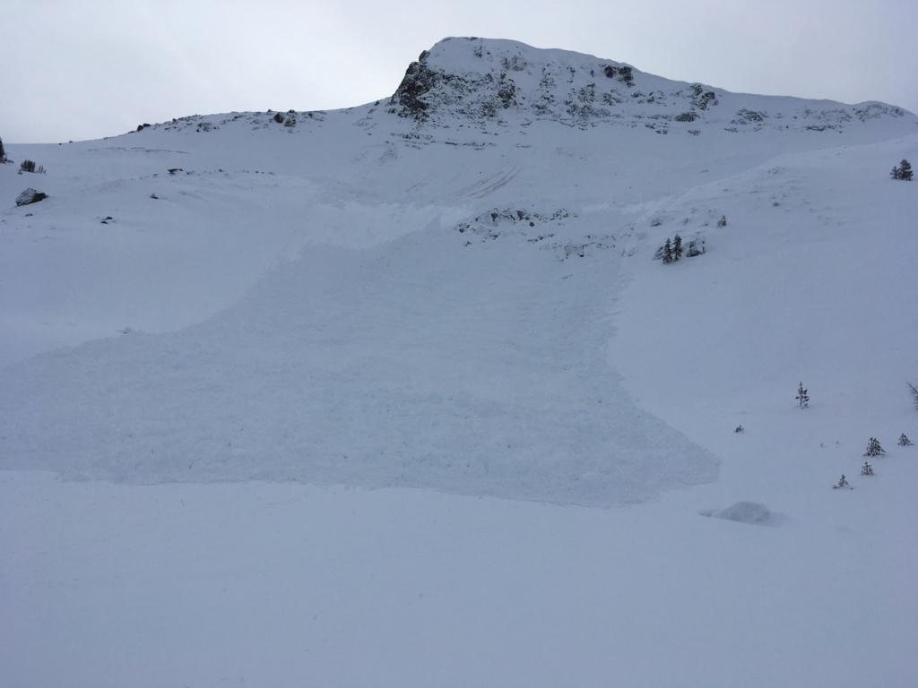  Looking up at the <a href="/avalanche-terms/avalanche" title="A mass of snow sliding, tumbling, or flowing down an inclined surface." class="lexicon-term">slide</a>. 