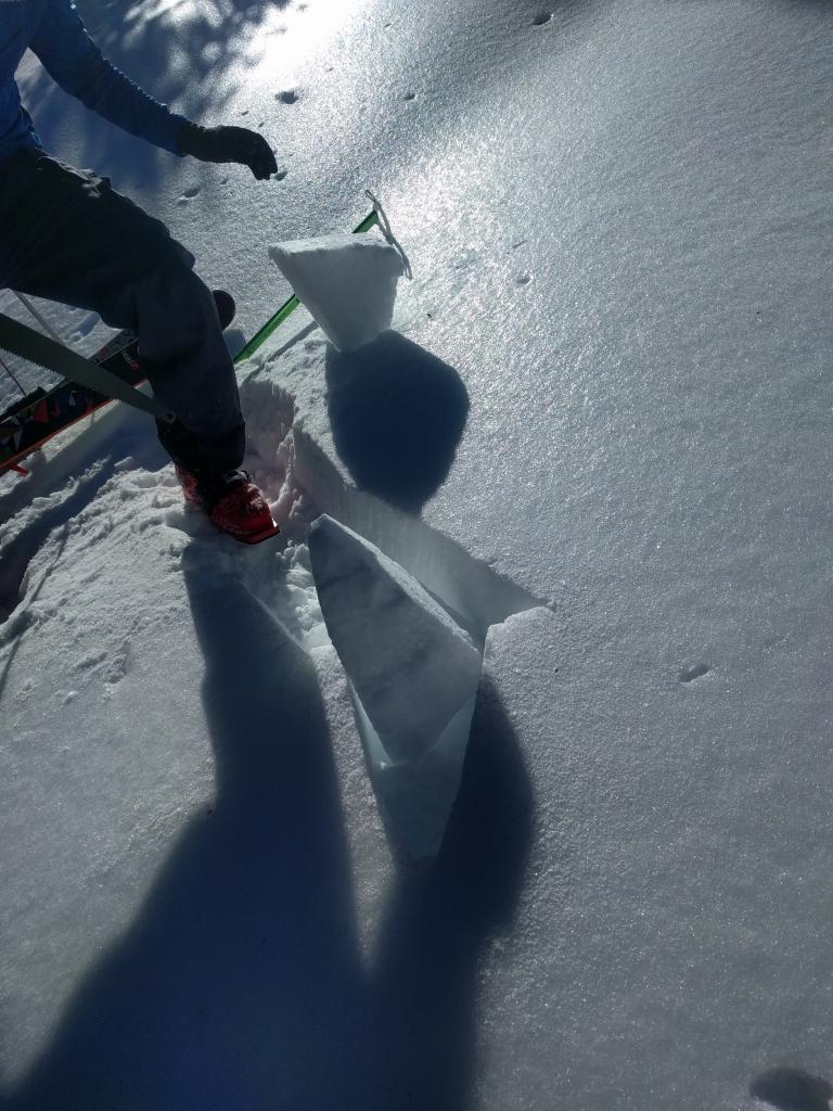  A piece of the crust sawed out of the snowpack. 