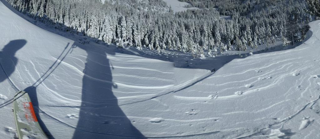  Panorama looking down the <a href="/avalanche-terms/avalanche" title="A mass of snow sliding, tumbling, or flowing down an inclined surface." class="lexicon-term">avalanche</a>. 