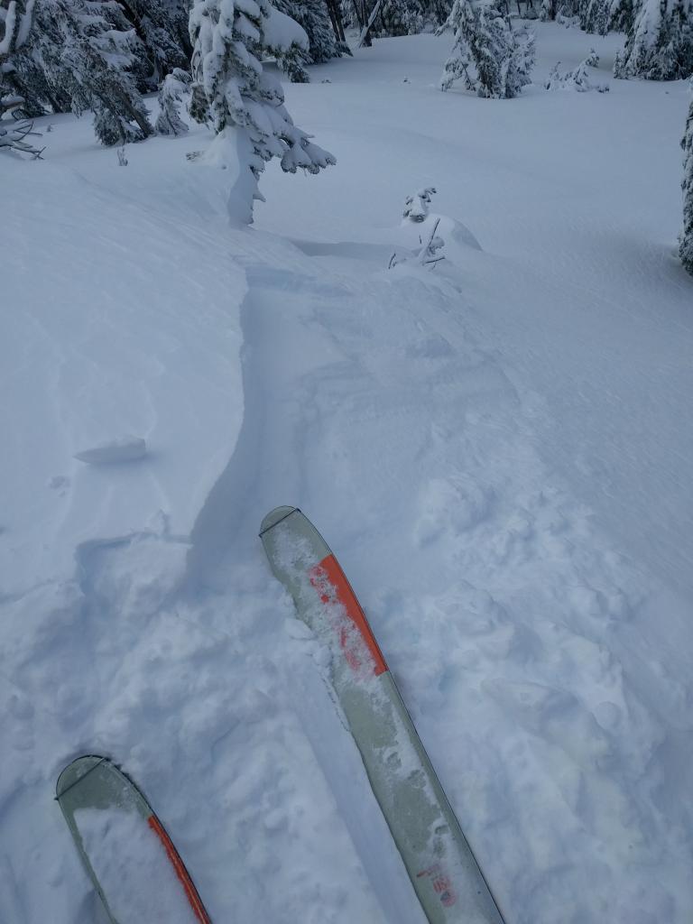  Small 4-6 inch <a href="/avalanche-terms/wind-slab" title="A cohesive layer of snow formed when wind deposits snow onto leeward terrain. Wind slabs are often smooth and rounded and sometimes sound hollow." class="lexicon-term">wind slab</a> on a NE facing <a href="/avalanche-terms/wind-loading" title="The added weight of wind drifted snow." class="lexicon-term">wind loaded</a> test slope. 