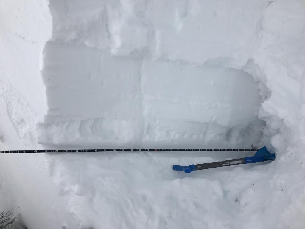  150cm HS, 40cm new snow, HCTN9@15cm, Basal <a href="/avalanche-terms/faceted-snow" title="Angular snow with poor bonding created from large temperature gradients within the snowpack." class="lexicon-term">Facets</a> 
