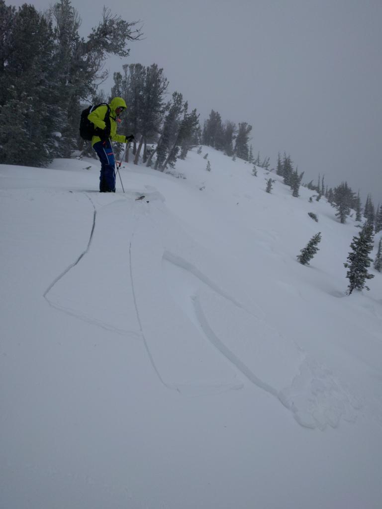  <a href="/avalanche-terms/wind-slab" title="A cohesive layer of snow formed when wind deposits snow onto leeward terrain. Wind slabs are often smooth and rounded and sometimes sound hollow." class="lexicon-term">Wind slab</a> failure <a href="/avalanche-terms/trigger" title="A disturbance that initiates fracture within the weak layer causing an avalanche. In 90 percent of avalanche accidents, the victim or someone in the victims party triggers the avalanche." class="lexicon-term">triggered</a> by a skiers weight on a NE facing test slope at 9360 ft. 