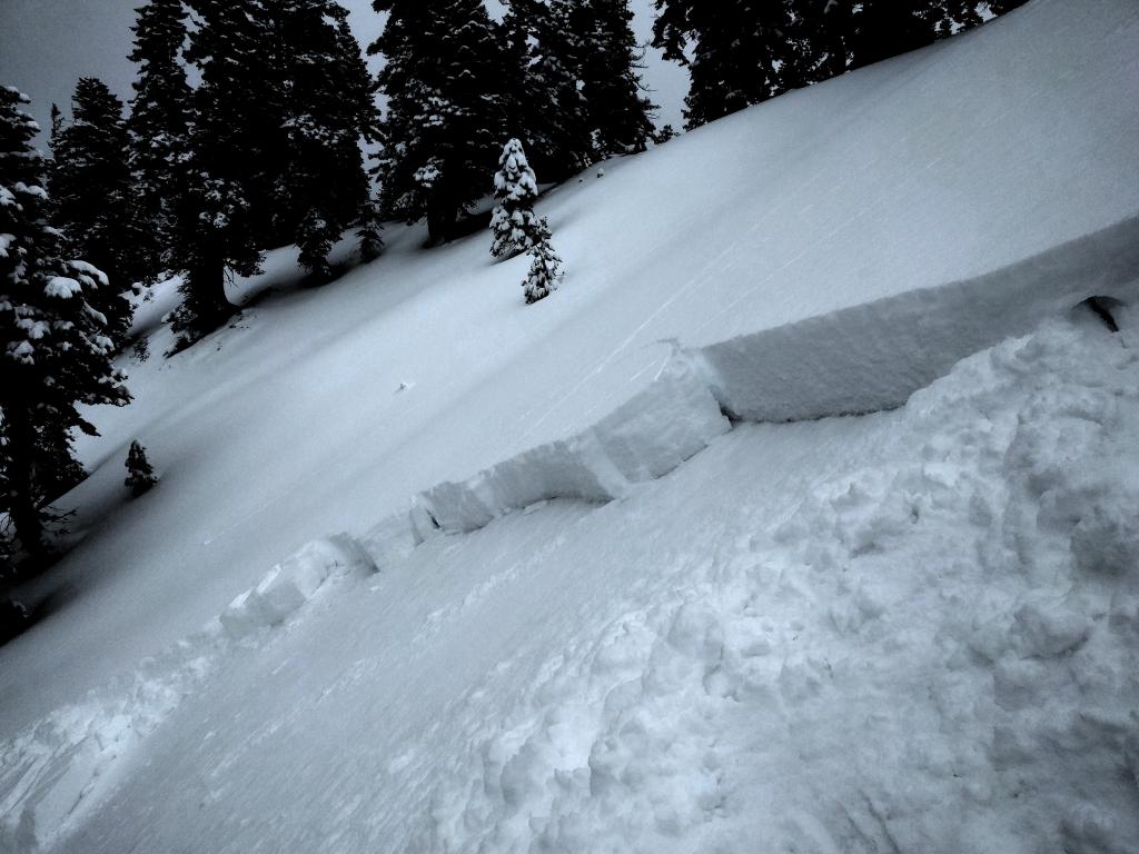  Skier&#039;s right side of the <a href="/avalanche-terms/crown-face" title="The top fracture surface of a slab avalanche. Usually smooth, clean cut, and angled 90 degrees to the bed surface." class="lexicon-term">crown</a> and flank as the slope become lower angle to the skier&#039;s right. 