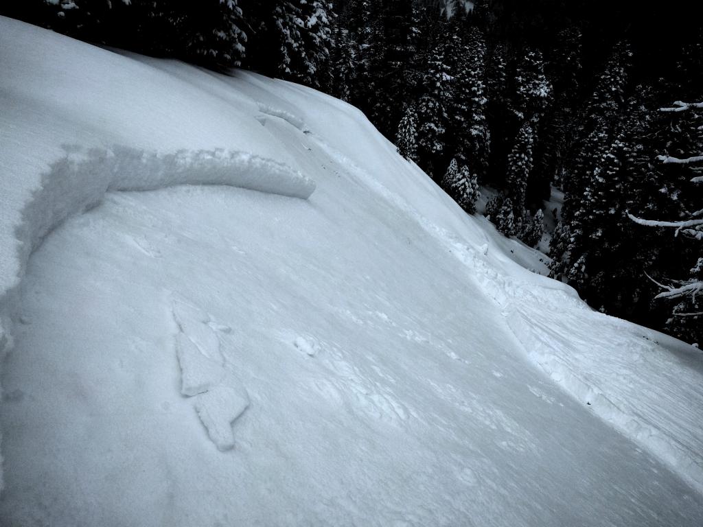  Looking a the skiers left side of the <a href="/avalanche-terms/crown-face" title="The top fracture surface of a slab avalanche. Usually smooth, clean cut, and angled 90 degrees to the bed surface." class="lexicon-term">crown</a> from the middle of the <a href="/avalanche-terms/avalanche" title="A mass of snow sliding, tumbling, or flowing down an inclined surface." class="lexicon-term">avalanche</a>. Note the firm <a href="/avalanche-terms/bed-surface" title="The surface over which a fracture and subsequent avalanche release occurs. Can be either the ground or a snow surface." class="lexicon-term">bed surface</a> (the 12/15 <a href="/avalanche-terms/rain-crust" title="A clear layer of ice formed when rain falls on the snow surface then freezes." class="lexicon-term">rain crust</a>) and the thin darker line in the <a href="/avalanche-terms/crown-face" title="The top fracture surface of a slab avalanche. Usually smooth, clean cut, and angled 90 degrees to the bed surface." class="lexicon-term">crown</a> just above the <a href="/avalanche-terms/rain-crust" title="A clear layer of ice formed when rain falls on the snow surface then freezes." class="lexicon-term">rain crust</a> at the bottom of the new snow - the near crust <a href="/avalanche-terms/faceted-snow" title="Angular snow with poor bonding created from large temperature gradients within the snowpack." class="lexicon-term">facets</a>. 