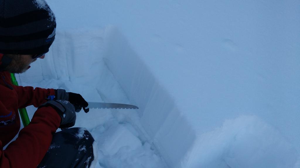  Buried <a href="/avalanche-terms/surface-hoar" title="Featherly crystals that form on the snow surface during clear and calm conditions - essentially frozen dew. Forms a persistent weak layer once buried." class="lexicon-term">surface hoar</a> <a href="/avalanche-terms/snow-layer" title="A snowpack stratum differentiated from others by weather, metamorphism, or other processes." class="lexicon-term">layer</a> above the 12/15 NCF&#039;s. 