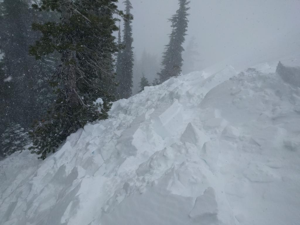  Debris on the smaller flank of the <a href="/avalanche-terms/avalanche" title="A mass of snow sliding, tumbling, or flowing down an inclined surface." class="lexicon-term">avalanche</a>. As it wraps around the corner the slope becomes larger and more open. 