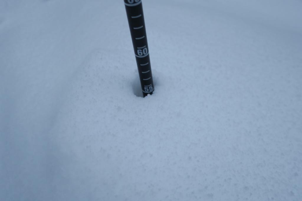  Only 55 cm snow depth at 7900 feet elevation. 