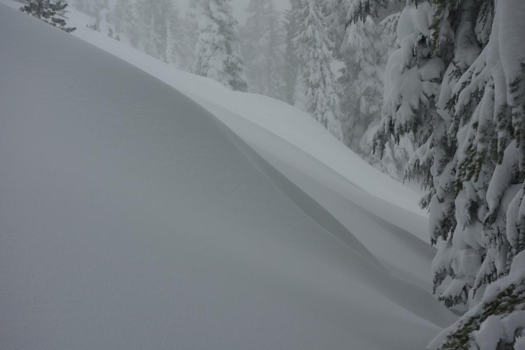  <a href="/avalanche-terms/wind-loading" title="The added weight of wind drifted snow." class="lexicon-term">Wind loading</a> and drifts forming just above tree line. 