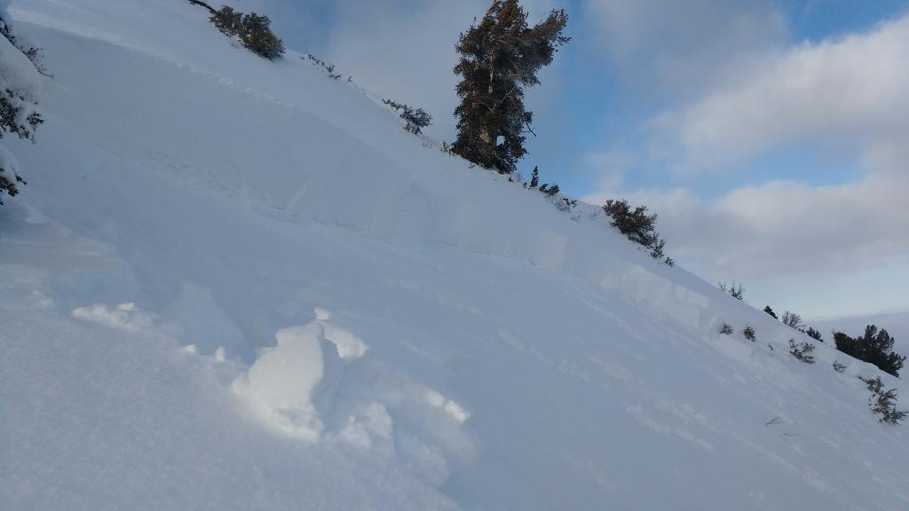  <a href="/avalanche-terms/crown-face" title="The top fracture surface of a slab avalanche. Usually smooth, clean cut, and angled 90 degrees to the bed surface." class="lexicon-term">Crown</a> line to 6 feet at lower left in overview photo. 