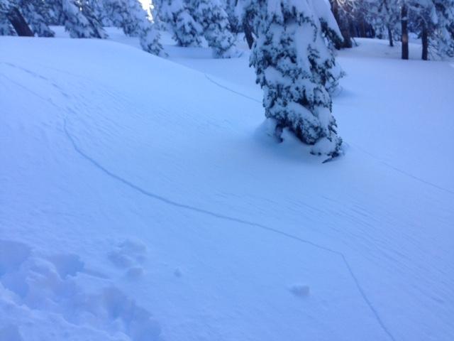  Cracking that went 5 feet deep to the Dec 15 near crust <a href="/avalanche-terms/faceted-snow" title="Angular snow with poor bonding created from large temperature gradients within the snowpack." class="lexicon-term">facet</a> <a href="/avalanche-terms/snow-layer" title="A snowpack stratum differentiated from others by weather, metamorphism, or other processes." class="lexicon-term">layer</a>. 