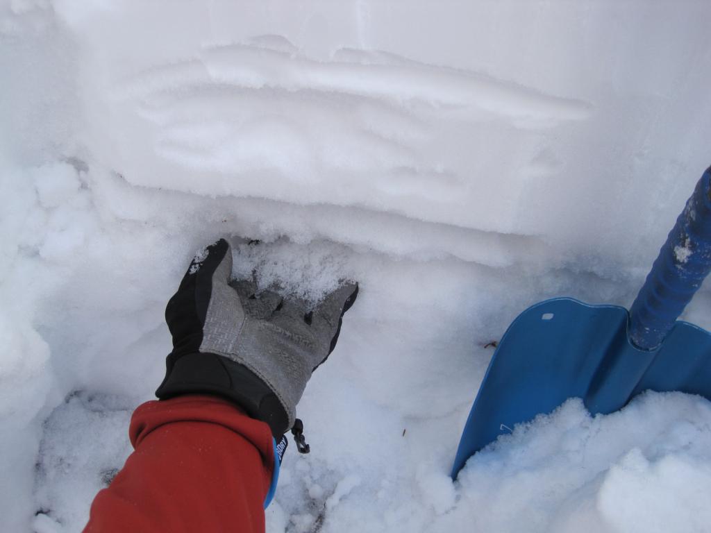  <a href="/avalanche-terms/faceted-snow" title="Angular snow with poor bonding created from large temperature gradients within the snowpack." class="lexicon-term">Faceted snow</a> beneath 12/15 <a href="/avalanche-terms/rain-crust" title="A clear layer of ice formed when rain falls on the snow surface then freezes." class="lexicon-term">rain crust</a>. 