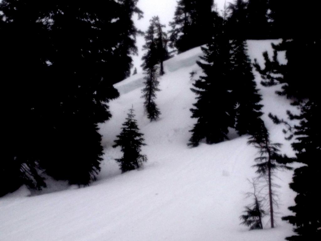  Another of the below treeline wet <a href="/avalanche-terms/deep-slab-avalanche" title="Avalanches that break deeply into old weak layers of snow that formed some time ago." class="lexicon-term">deep slab</a> <a href="/avalanche-terms/avalanche" title="A mass of snow sliding, tumbling, or flowing down an inclined surface." class="lexicon-term">avalanches</a>. 