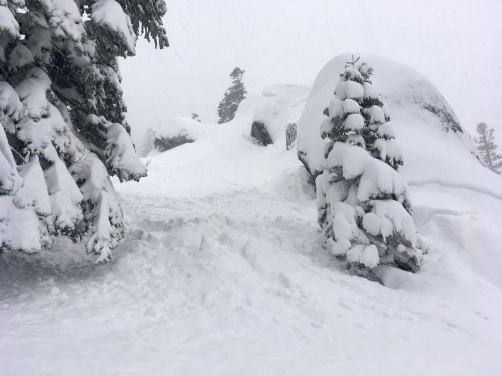  View of debris on a different <a href="/avalanche-terms/aspect" title="The compass direction a slope faces (i.e. North, South, East, or West.)" class="lexicon-term">aspect</a> of formation. 