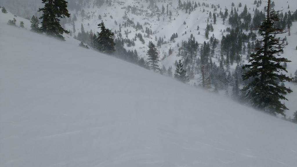  Ongoing wind transport between snow showers. 