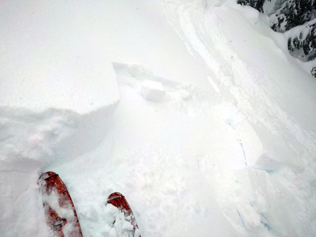  The <a href="/avalanche-terms/wind-loading" title="The added weight of wind drifted snow." class="lexicon-term">wind loaded</a> test slope that cracked and failed with a hard ski kick after previously being undercut. 
