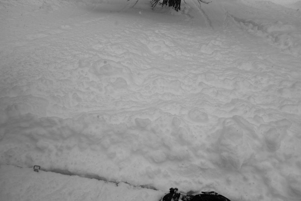  Dry loose slough on steeper slopes 