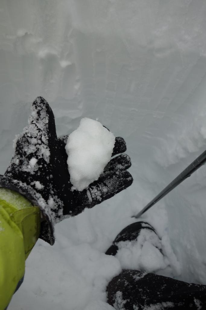  Wet saturated snow near crusts near 300cm from top 