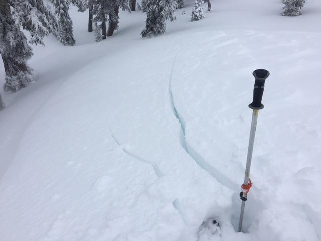  40&#039; long shooting cracks in <a href="/avalanche-terms/wind-loading" title="The added weight of wind drifted snow." class="lexicon-term">wind loaded</a> terrain. 