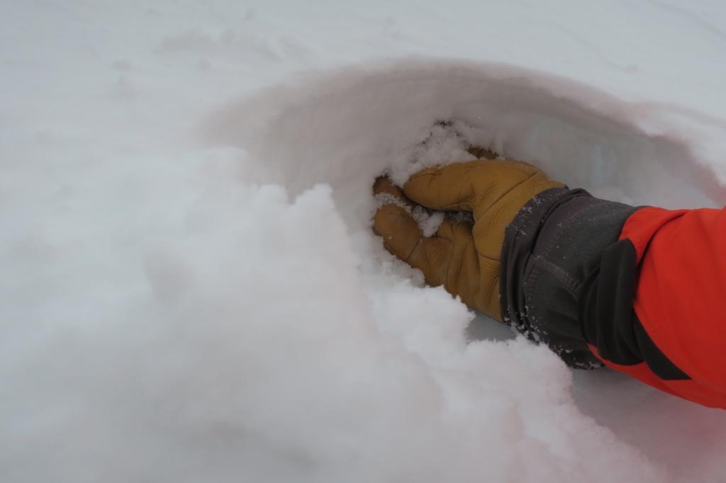  A very thin crust (likely created by freezing fog/mist) on top of fresh snow. 