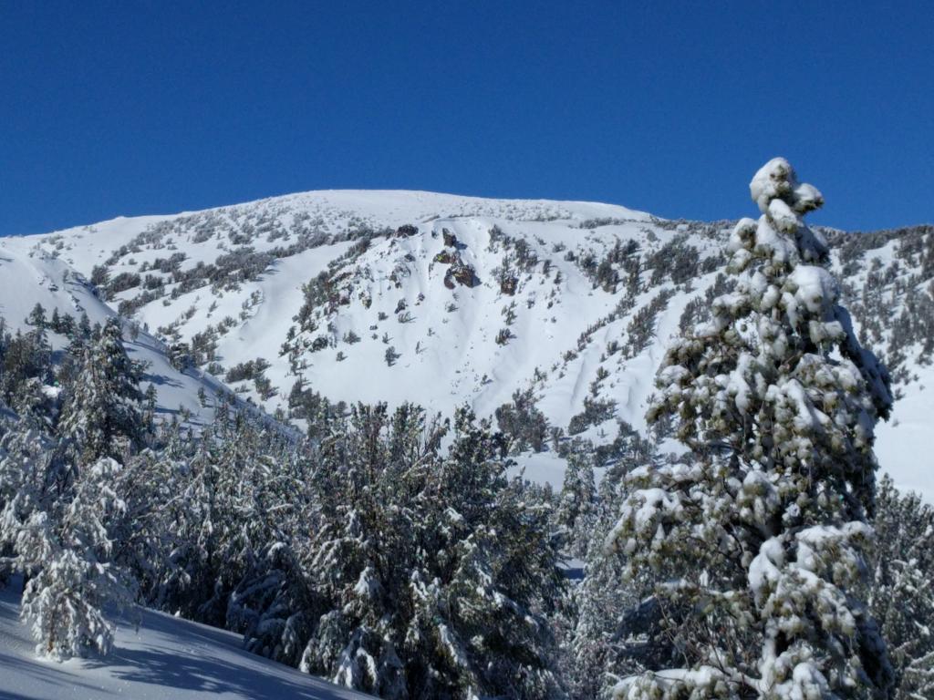  Mt. Houghton.  S/SE <a href="/avalanche-terms/aspect" title="The compass direction a slope faces (i.e. North, South, East, or West.)" class="lexicon-term">aspect</a>, 10,000&#039;. 