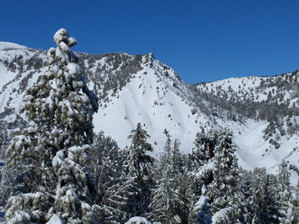  Mt. Houghton.  SE <a href="/avalanche-terms/aspect" title="The compass direction a slope faces (i.e. North, South, East, or West.)" class="lexicon-term">aspect</a>, 8800&#039;. 