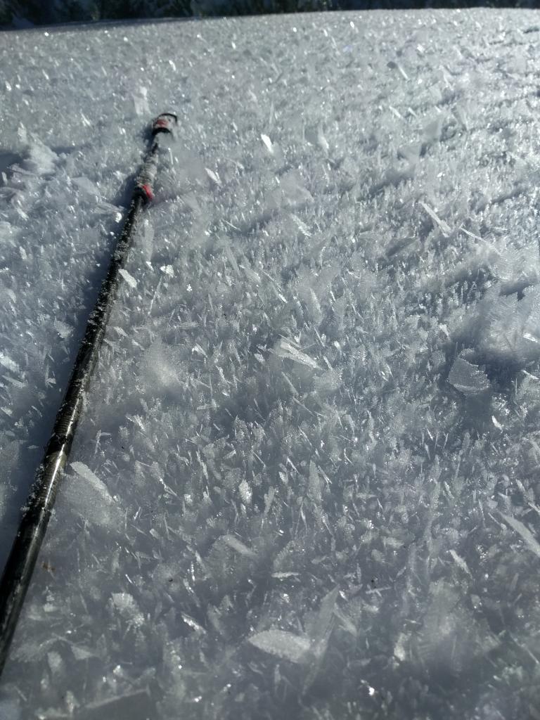  10 to 20mm <a href="/avalanche-terms/surface-hoar" title="Featherly crystals that form on the snow surface during clear and calm conditions - essentially frozen dew. Forms a persistent weak layer once buried." class="lexicon-term">surface hoar</a> in a meadow at ~7900 ft. 