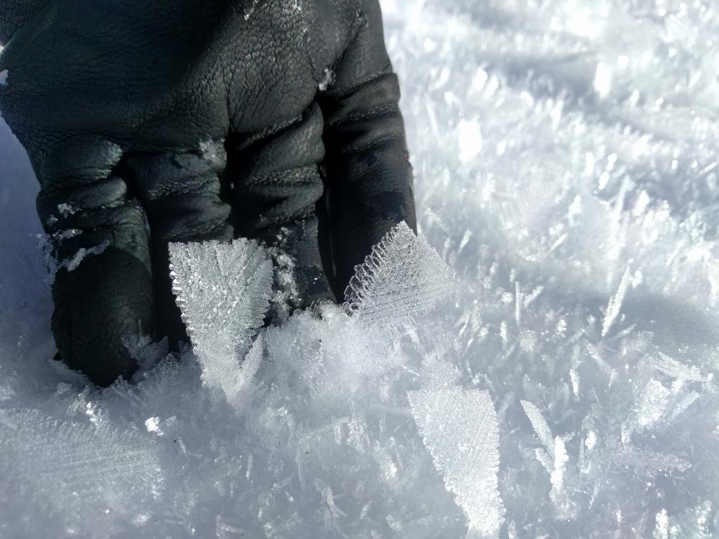  10 to 20mm <a href="/avalanche-terms/surface-hoar" title="Featherly crystals that form on the snow surface during clear and calm conditions - essentially frozen dew. Forms a persistent weak layer once buried." class="lexicon-term">surface hoar</a> in a meadow at ~7900 ft. 