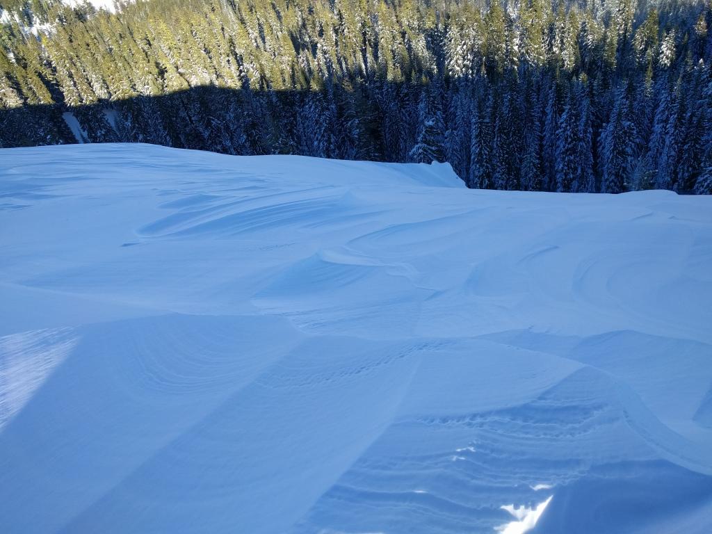  Wind scoured E facing slopes along Andesite Ridge 