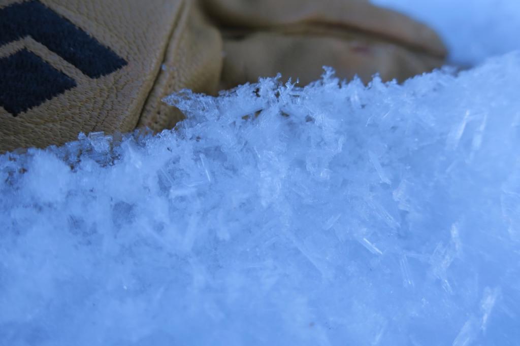  Lower elevation open locations did feature large <a href="/avalanche-terms/surface-hoar" title="Featherly crystals that form on the snow surface during clear and calm conditions - essentially frozen dew. Forms a persistent weak layer once buried." class="lexicon-term">surface hoar</a>. 