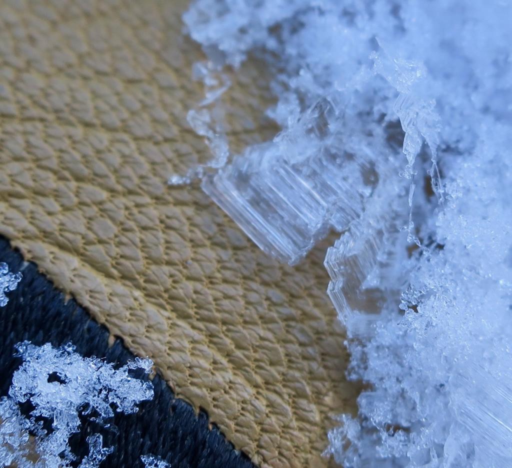  Lower elevation open locations did feature large <a href="/avalanche-terms/surface-hoar" title="Featherly crystals that form on the snow surface during clear and calm conditions - essentially frozen dew. Forms a persistent weak layer once buried." class="lexicon-term">surface hoar</a>. 
