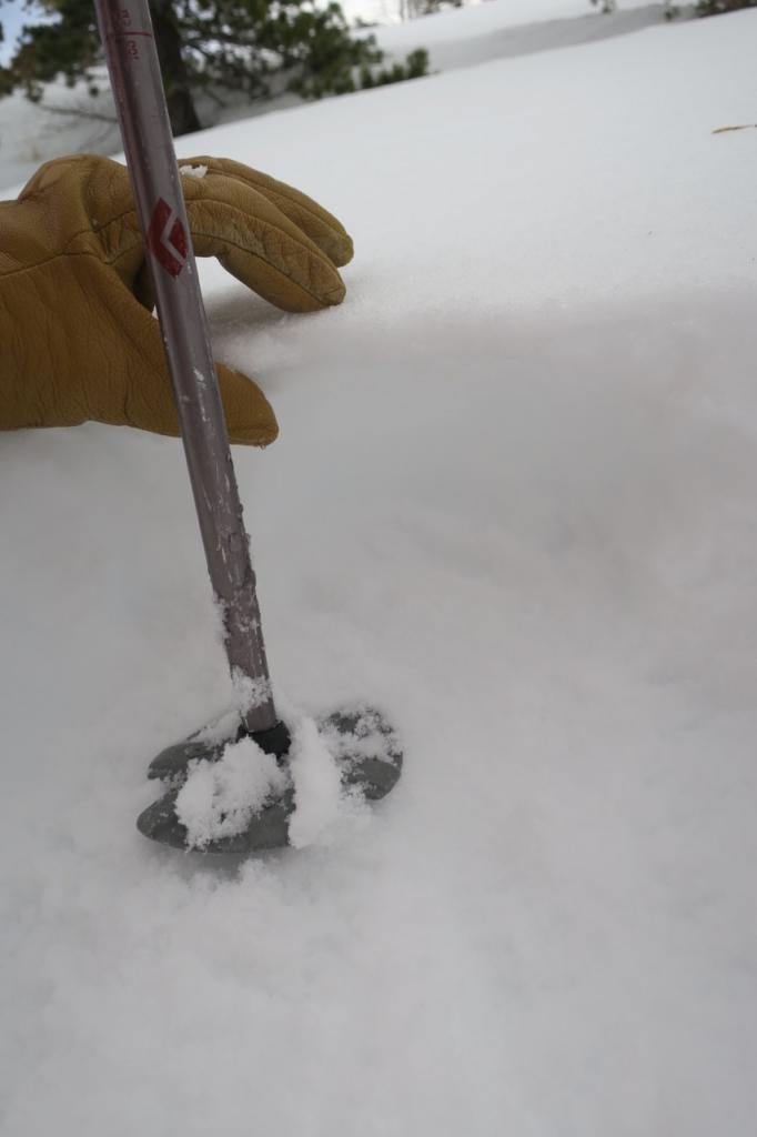  This was the shallowest location I observed with the pole basket sitting on the old <a href="/avalanche-terms/rain-crust" title="A clear layer of ice formed when rain falls on the snow surface then freezes." class="lexicon-term">rain crust</a> . 