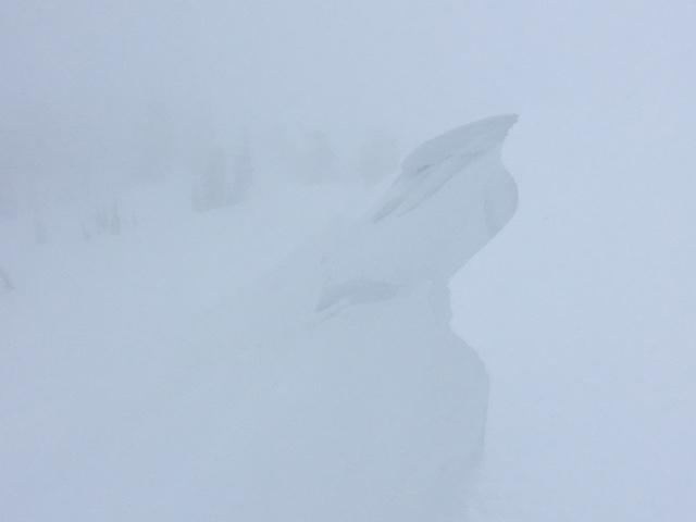  <a href="/avalanche-terms/cornice" title="A mass of snow deposited by the wind, often overhanging, and usually near a sharp terrain break such as a ridge. Cornices can break off unexpectedly and should be approached with caution." class="lexicon-term">Cornice</a> formation along ridge at 10:30am. 