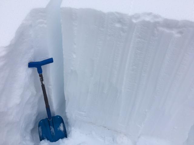  Test <a href="/avalanche-terms/snowpit" title="A pit dug vertically into the snowpack where snow layering is observed and stability tests may be performed. Also called a snow profile." class="lexicon-term">Pit</a> at 8200&#039;, NE <a href="/avalanche-terms/aspect" title="The compass direction a slope faces (i.e. North, South, East, or West.)" class="lexicon-term">aspect</a>.  ECTN&#039;s.  HST=95cm. 
