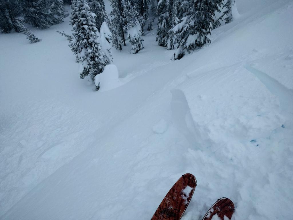  Another smaller <a href="/avalanche-terms/wind-slab" title="A cohesive layer of snow formed when wind deposits snow onto leeward terrain. Wind slabs are often smooth and rounded and sometimes sound hollow." class="lexicon-term">wind slab</a> <a href="/avalanche-terms/trigger" title="A disturbance that initiates fracture within the weak layer causing an avalanche. In 90 percent of avalanche accidents, the victim or someone in the victims party triggers the avalanche." class="lexicon-term">triggered</a> by a ski kick on a N facing <a href="/avalanche-terms/wind-loading" title="The added weight of wind drifted snow." class="lexicon-term">wind loaded</a> test slope 