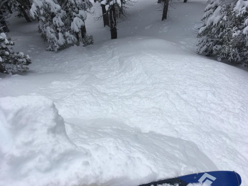  Kicking test slopes showed obvious loose instabilities but snow was too un-cohesive to <a href="/avalanche-terms/propagation" title="The spreading of a fracture or crack within the snowpack." class="lexicon-term">propagate</a>. 