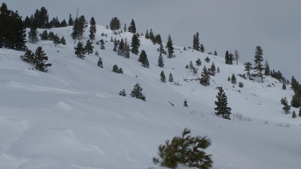  Small natural <a href="/avalanche-terms/wind-slab" title="A cohesive layer of snow formed when wind deposits snow onto leeward terrain. Wind slabs are often smooth and rounded and sometimes sound hollow." class="lexicon-term">wind slab</a> <a href="/avalanche-terms/avalanche" title="A mass of snow sliding, tumbling, or flowing down an inclined surface." class="lexicon-term">avalanche</a> futher up ridge from <a href="/avalanche-terms/remote-trigger" title="When the trigger point is outside of the boundary of the releasing slab." class="lexicon-term">remote trigger</a> test slope failure (ESE <a href="/avalanche-terms/aspect" title="The compass direction a slope faces (i.e. North, South, East, or West.)" class="lexicon-term">aspect</a>, 7,000&#039;). 