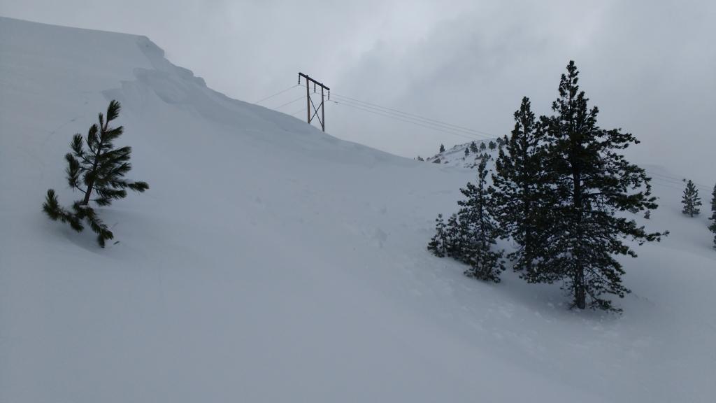  Signs of recent natural <a href="/avalanche-terms/cornice" title="A mass of snow deposited by the wind, often overhanging, and usually near a sharp terrain break such as a ridge. Cornices can break off unexpectedly and should be approached with caution." class="lexicon-term">cornice</a> <a href="/avalanche-terms/collapse" title="When the fracture of a lower snow layer causes an upper layer to fall. Also called a whumpf, this is an obvious sign of instability." class="lexicon-term">collapse</a> and subtle evidence of a mostly refilled <a href="/avalanche-terms/crown-face" title="The top fracture surface of a slab avalanche. Usually smooth, clean cut, and angled 90 degrees to the bed surface." class="lexicon-term">crown</a> line (NE <a href="/avalanche-terms/aspect" title="The compass direction a slope faces (i.e. North, South, East, or West.)" class="lexicon-term">aspect</a>, 7,240&#039;) 